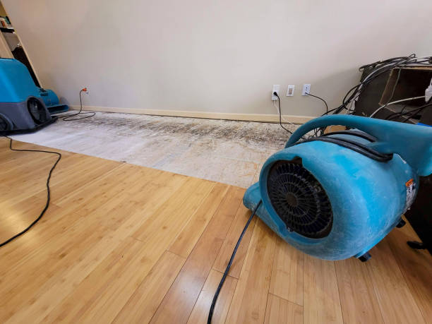 Professional Structural Drying technician working in Harbor View, OH